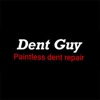 Dent Guy Paintless Dent Repair gallery