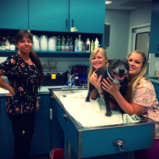 Lake Forest Animal Clinic - Lake Forest, CA