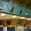 Cabela's gallery