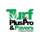 Turf Plus Pro - Landscape Designers & Consultants