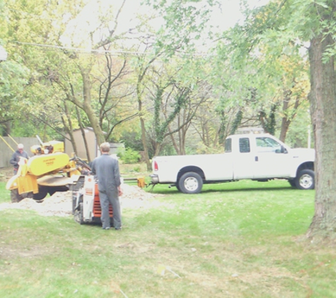 Trapper's Tree Service - Columbus, OH
