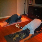 Zerenity Wellness