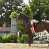 Glen Grove Equestrian Center gallery