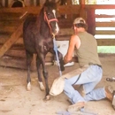 Whaley's Equine Services - Horse Training