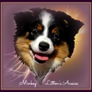 Litton's Mini Aussies - Pet Boarding & Kennels