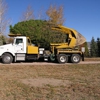 Bowman Tree Moving, Inc. gallery