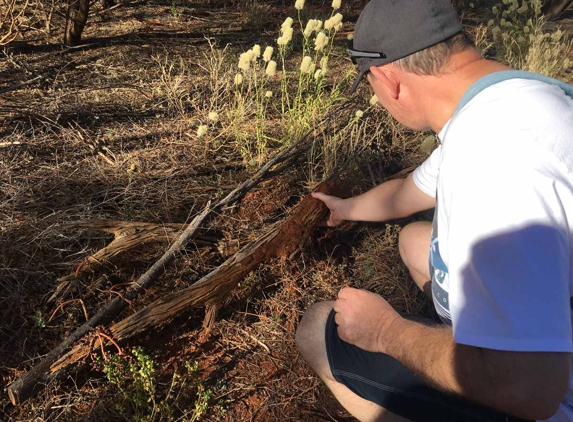 Atrax Services Pest Control - Bomaderry, NSW