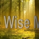 Tree Wise Men LLC