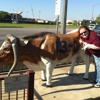 Aggieland Outfitters gallery