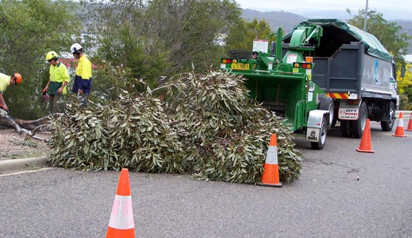 Snowy Monaro Tree Service - Cooma, NSW