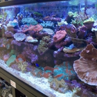 Creative Aquariums of Tampa