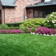 Green Planet Landscaping & Painting