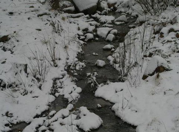 Bradshaw Mountain Guest Ranch - Crown King, AZ