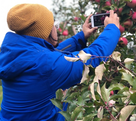 Linvilla Orchards - Media, PA