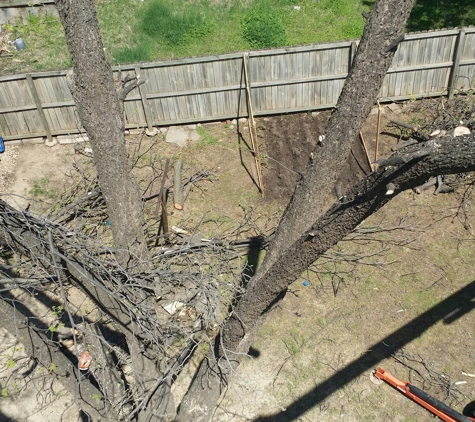 Garcia's Lawn and Tree Care - Enid, OK