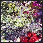 1-800-FLOWERS.COM