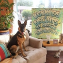 Bubbles & Biscuits Dog Grooming Salon - Pet Grooming