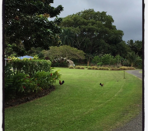 Green Landscapes Kauai LLC - Hanalei, HI
