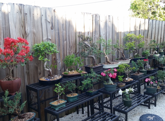 Best Bonsai, Inc - Miami, FL