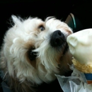 Dairy Queen - Fast Food Restaurants