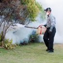 Best Way Pest Control - Pest Control Services