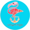 Baymingo - boat rentals and tours in Fort Lauderdale gallery