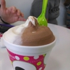 sweetFrog gallery