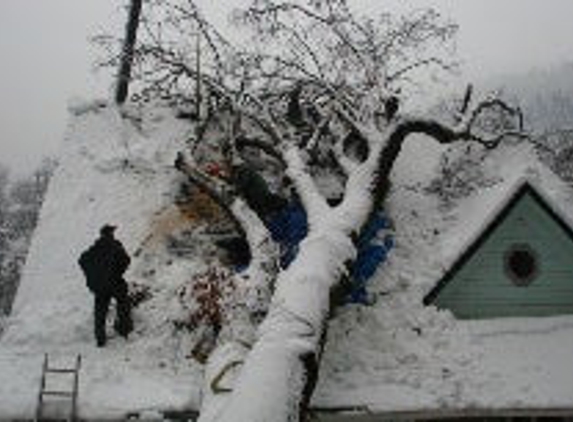 Benson  & Sons Roofing - Dunsmuir, CA