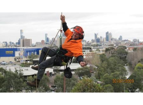 Professional Tree Care Services - Kew, VIC. Rope and harness- technique