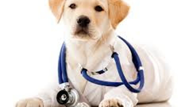 ABC Veterinary Hospital - Uptown - San Diego, CA