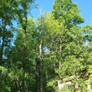 JD's Tree And More - Firewood