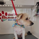 Red Paws Grooming - Pet Grooming