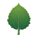 Aaspen Tree Service - Firewood