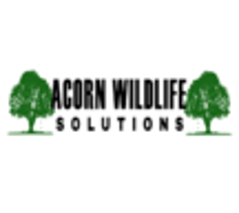 A Corn Wildlife solutions - Russell, MA