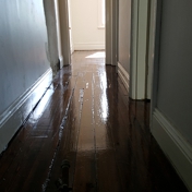 Gallery Image Number 1