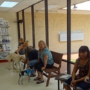 Jacaranda Animal Hospital - Veterinarians