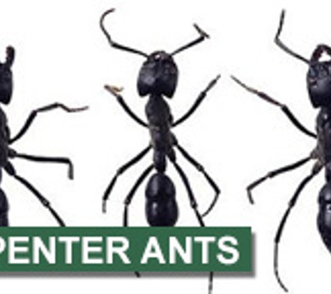 Grenier's Pest Control - Essex Junction, VT