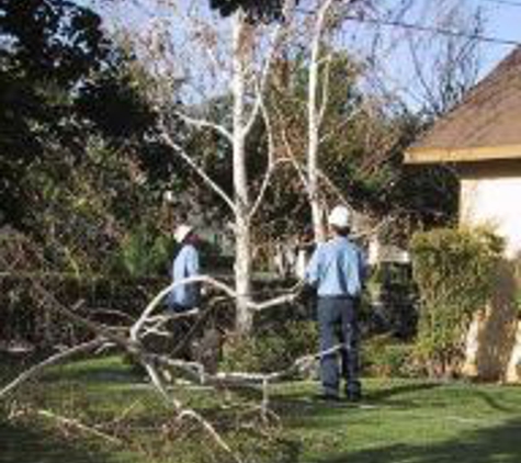 General  Tree Service - Bakersfield, CA