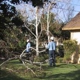 General  Tree Service