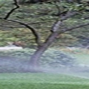All Dade Sprinklers Inc - Sprinklers-Garden & Lawn-Wholesale & Manufacturers