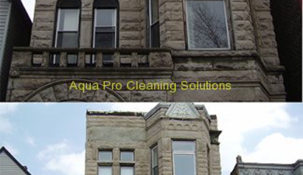 Aqua Pro Cleaning Solutions