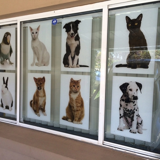 Bankstown Veterinary Hospital - Bankstown, NSW