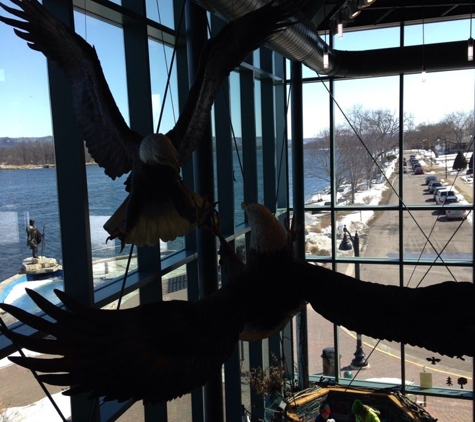 National Eagle Center - Wabasha, MN