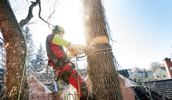 Appalachian Tree Service - Kennesaw, GA