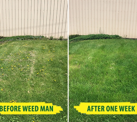 Weed Man - Port Huron, MI