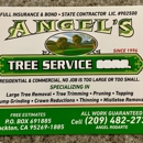 Valley Pacific Tree Service Inc. - Tree Service