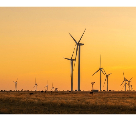 Stephenson Environmental Management Australia