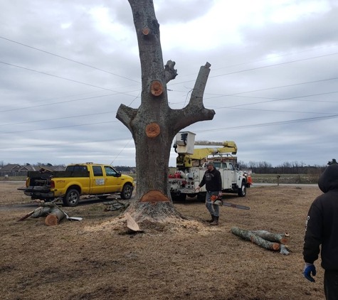 Michael's Tree Service - Jacksonville, NC