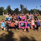 Warrior Women Fitness