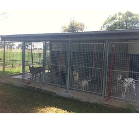 Glen-Milton Dog Boarding Kennels & Cattery - Duri, NSW